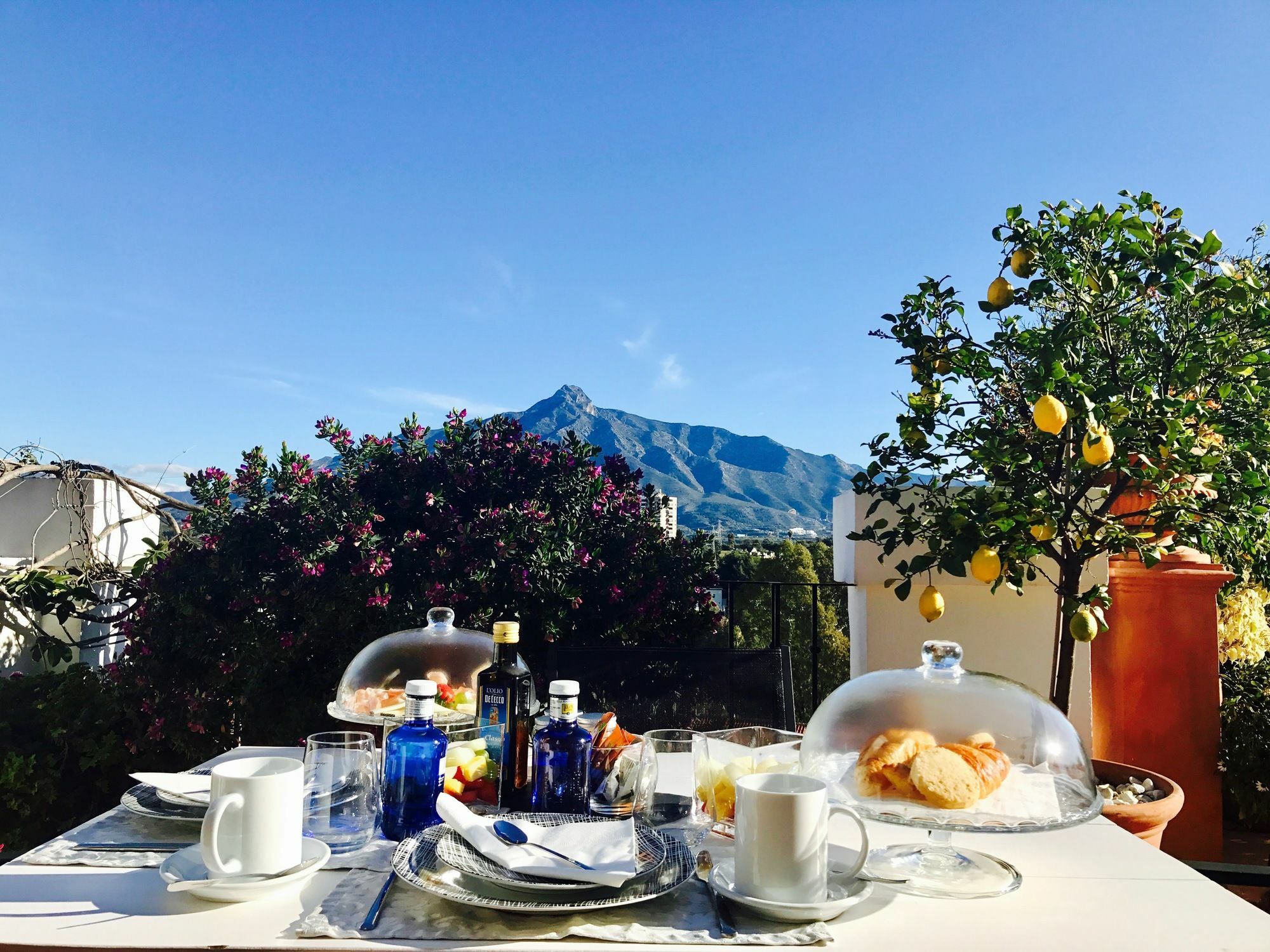 Molo 44 Puerto Banus 4* Marbella